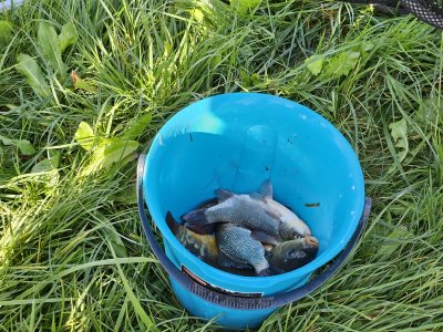 Kultura, Tradycja... i Placki! 2023